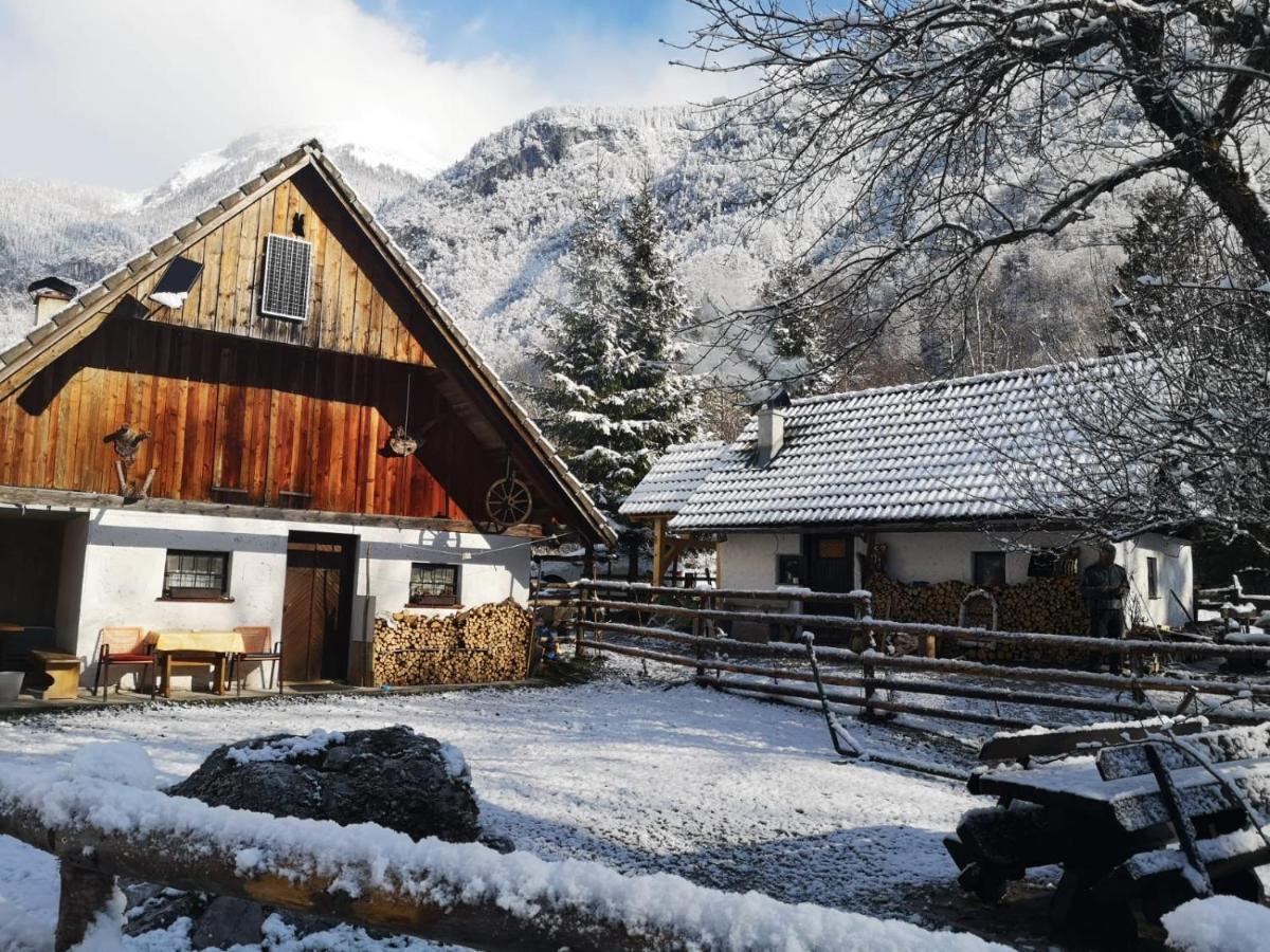 Lizina Hiska House Bohinj Villa Bohinjska Bistrica Eksteriør billede