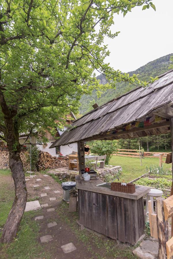 Lizina Hiska House Bohinj Villa Bohinjska Bistrica Eksteriør billede