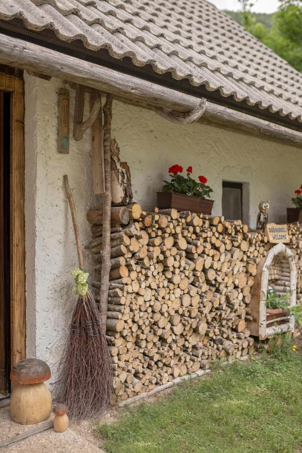Lizina Hiska House Bohinj Villa Bohinjska Bistrica Eksteriør billede