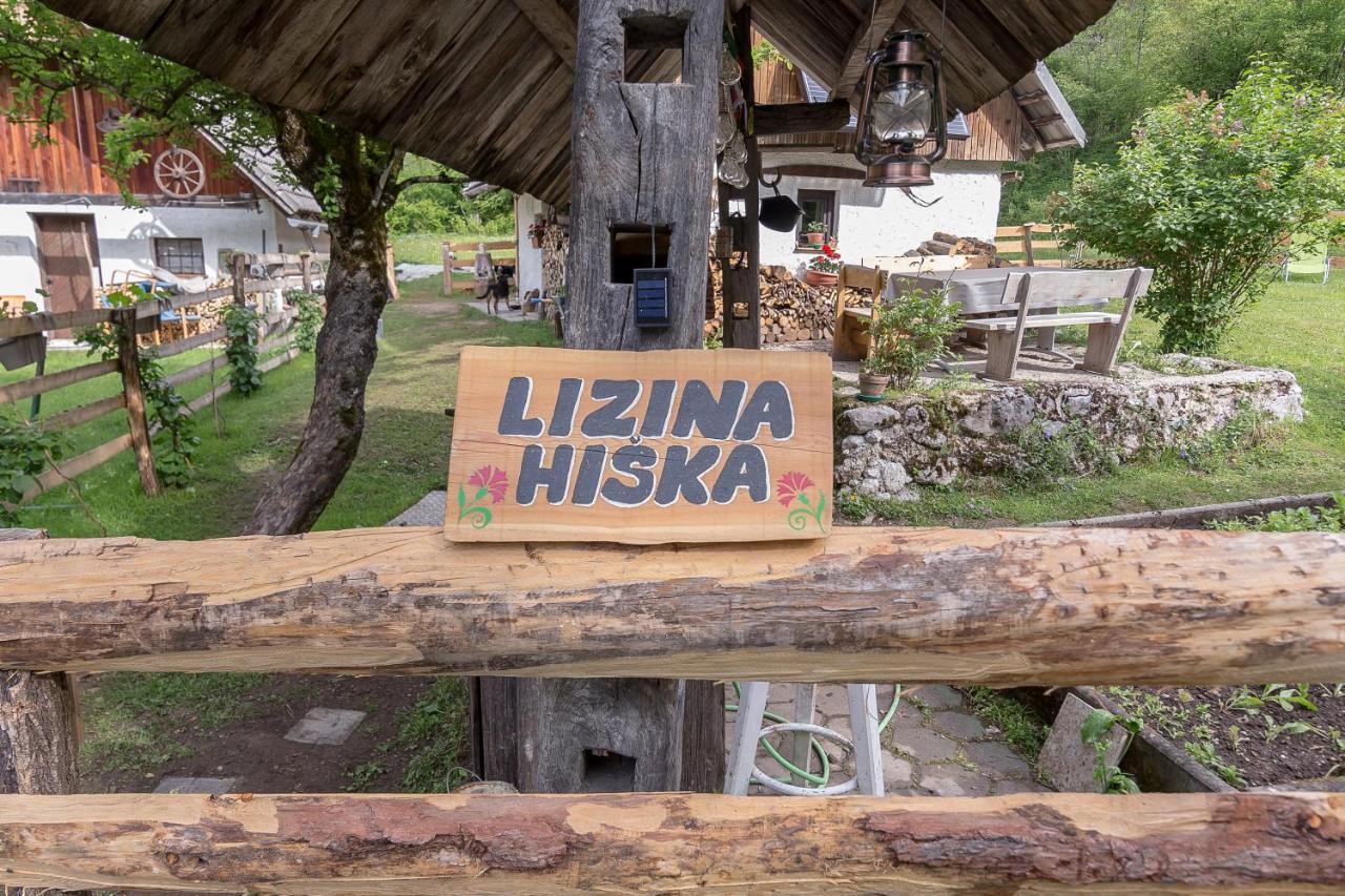 Lizina Hiska House Bohinj Villa Bohinjska Bistrica Eksteriør billede
