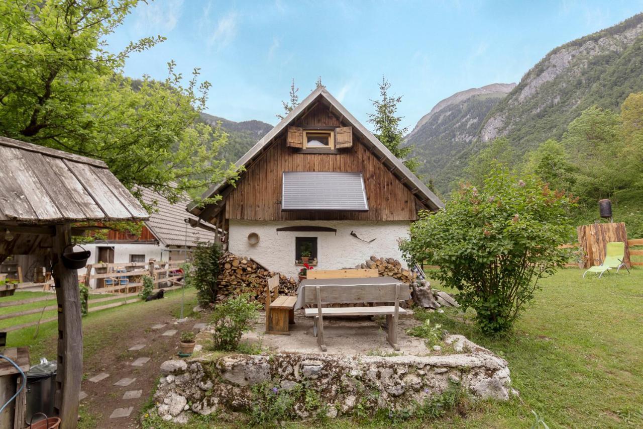 Lizina Hiska House Bohinj Villa Bohinjska Bistrica Eksteriør billede
